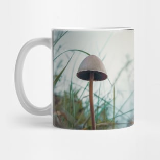poisonous mushroom Mug